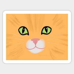 Orange Kitty Mask Sticker